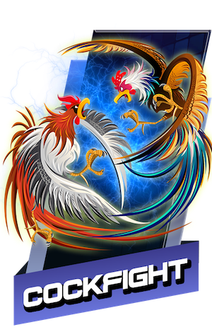 cockfight